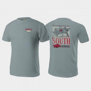 Arkansas Razorbacks T-Shirt Pride of the South Gray Mens Comfort Colors