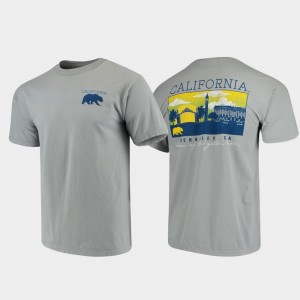 California Golden Bears T-Shirt Campus Scenery Comfort Colors Gray Mens