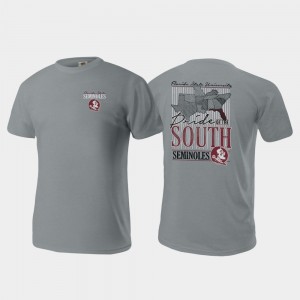 Florida State Seminoles T-Shirt Comfort Colors Gray Pride of the South Men's