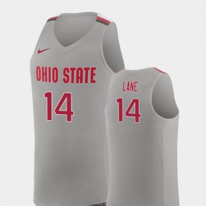 Ohio State Buckeyes Joey Lane Jersey Pure Gray College Basketball #14 Mens Replica