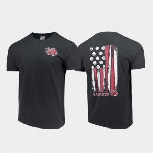 South Carolina Gamecocks T-Shirt For Men's Comfort Colors Baseball Flag Black