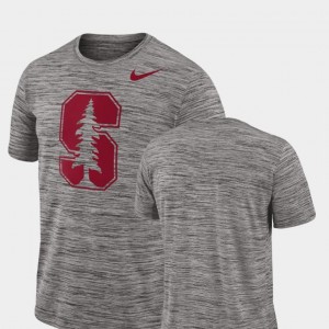 Stanford Cardinal T-Shirt Performance For Men Charcoal 2018 Player Travel Legend
