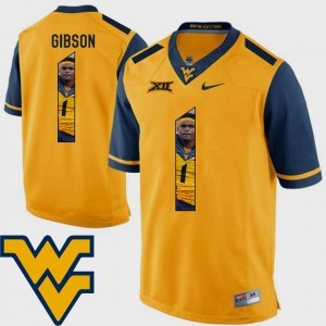 West Virginia Mountaineers Shelton Gibson Jersey Pictorial Fashion Football #1 Gold For Men's