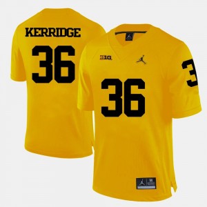 Michigan Wolverines Joe Kerridge Jersey Men's College Football #36 Yellow