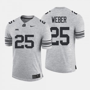 Ohio State Buckeyes Mike Weber Jersey #25 Gridiron Limited For Men Gray Gridiron Gray Limited