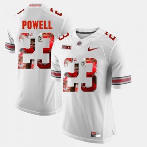 Ohio State Buckeyes Tyvis Powell Jersey Pictorial Fashion #23 White For Men